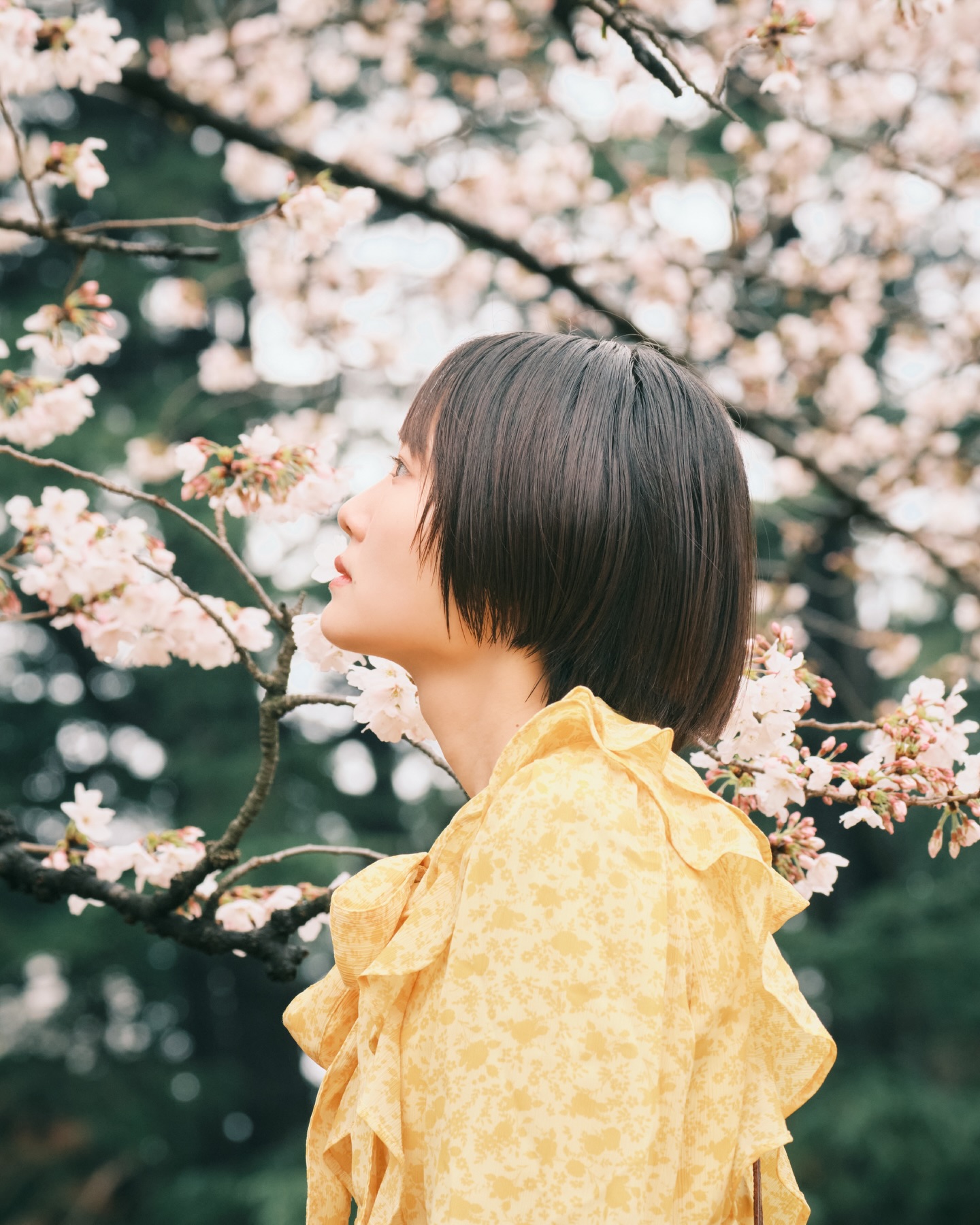 MiserableLizard Rowe