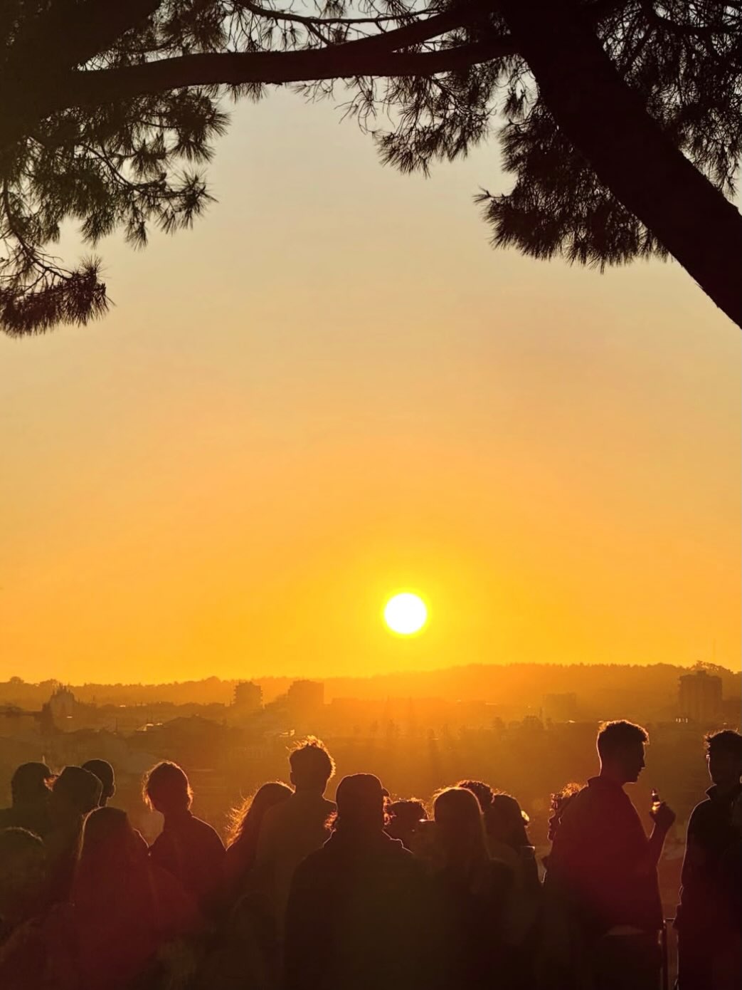 cyberjuju Vandervort