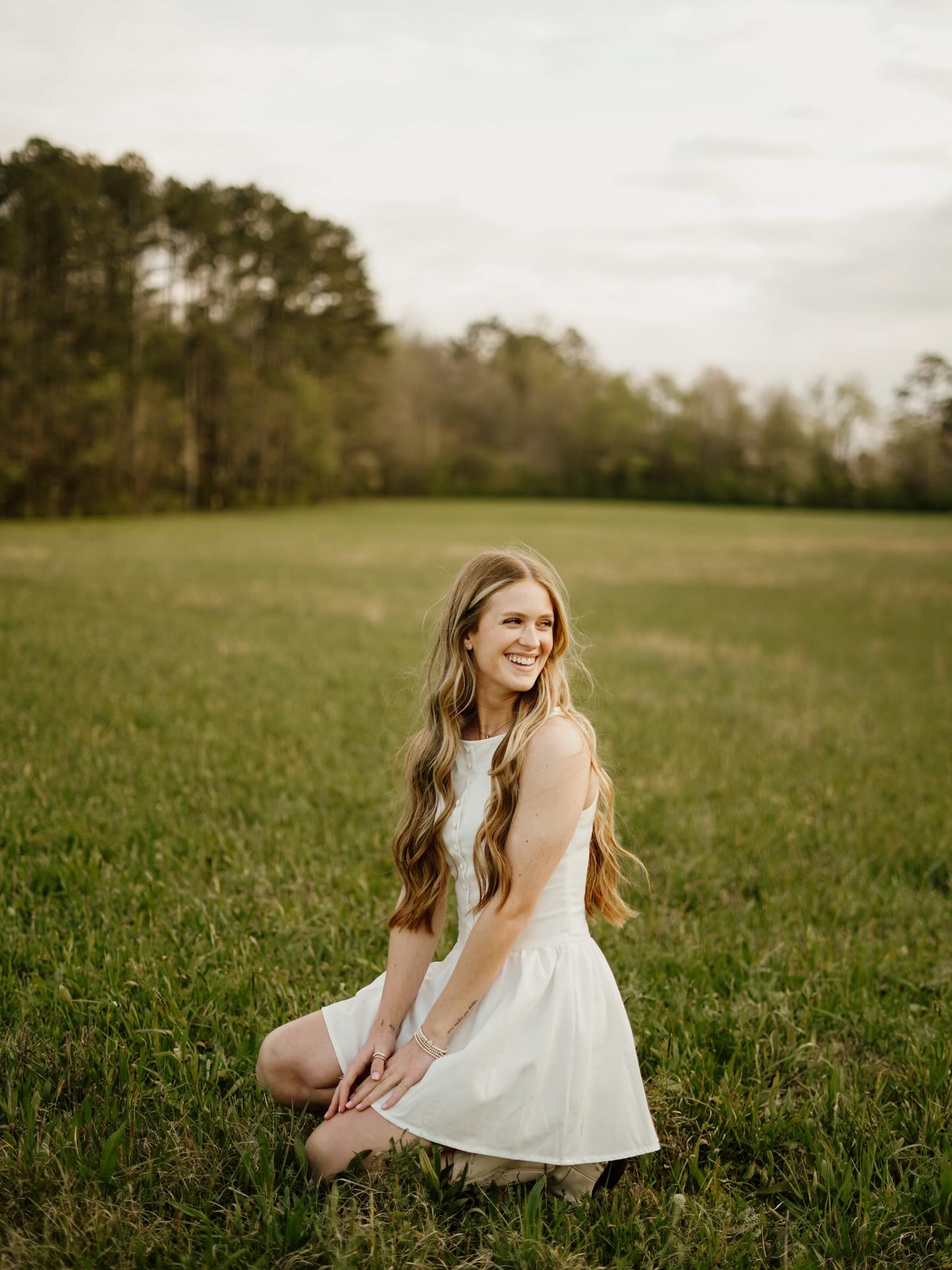 PristineElevator198 Hansen