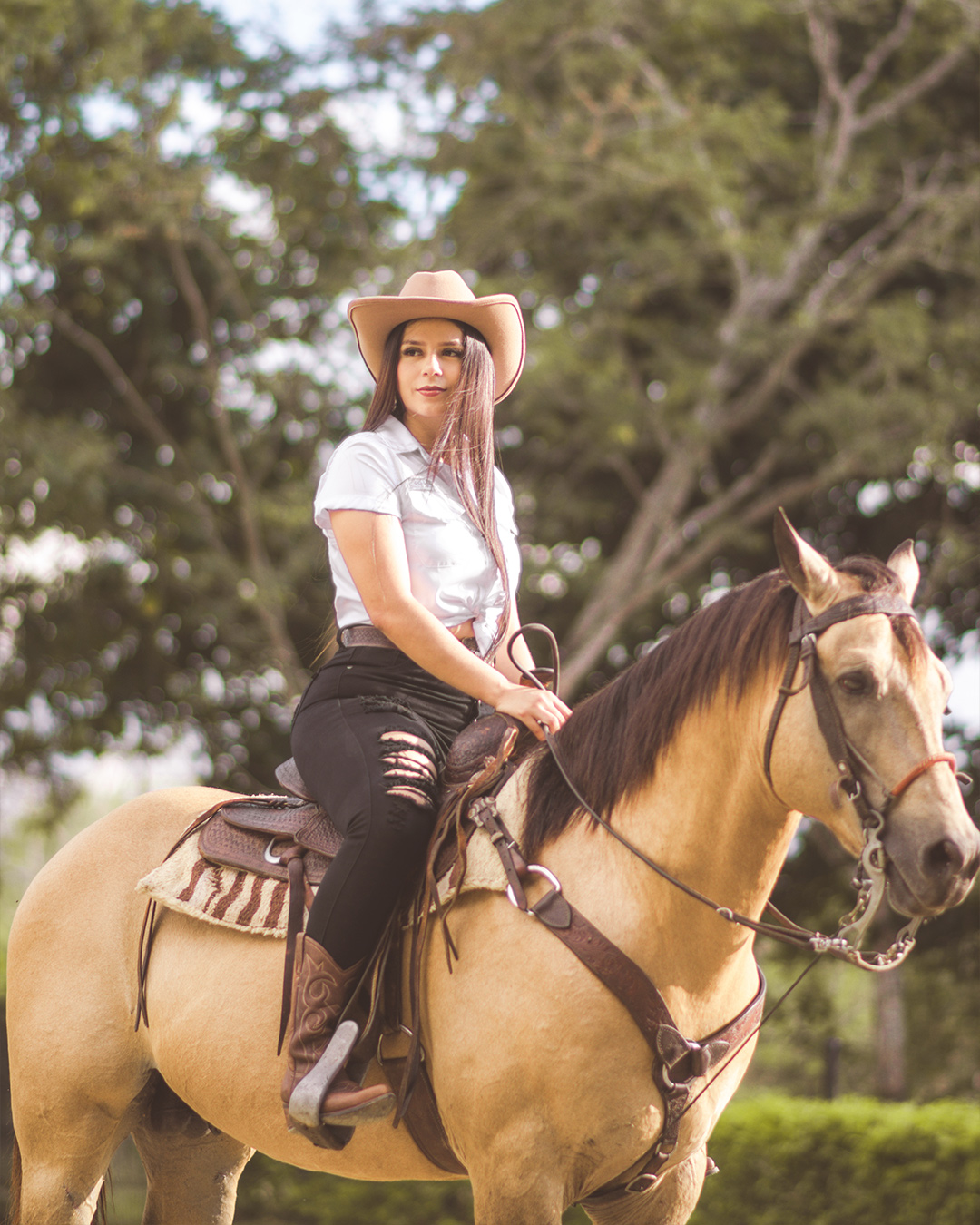 mihaylovajpg2 Zboncak