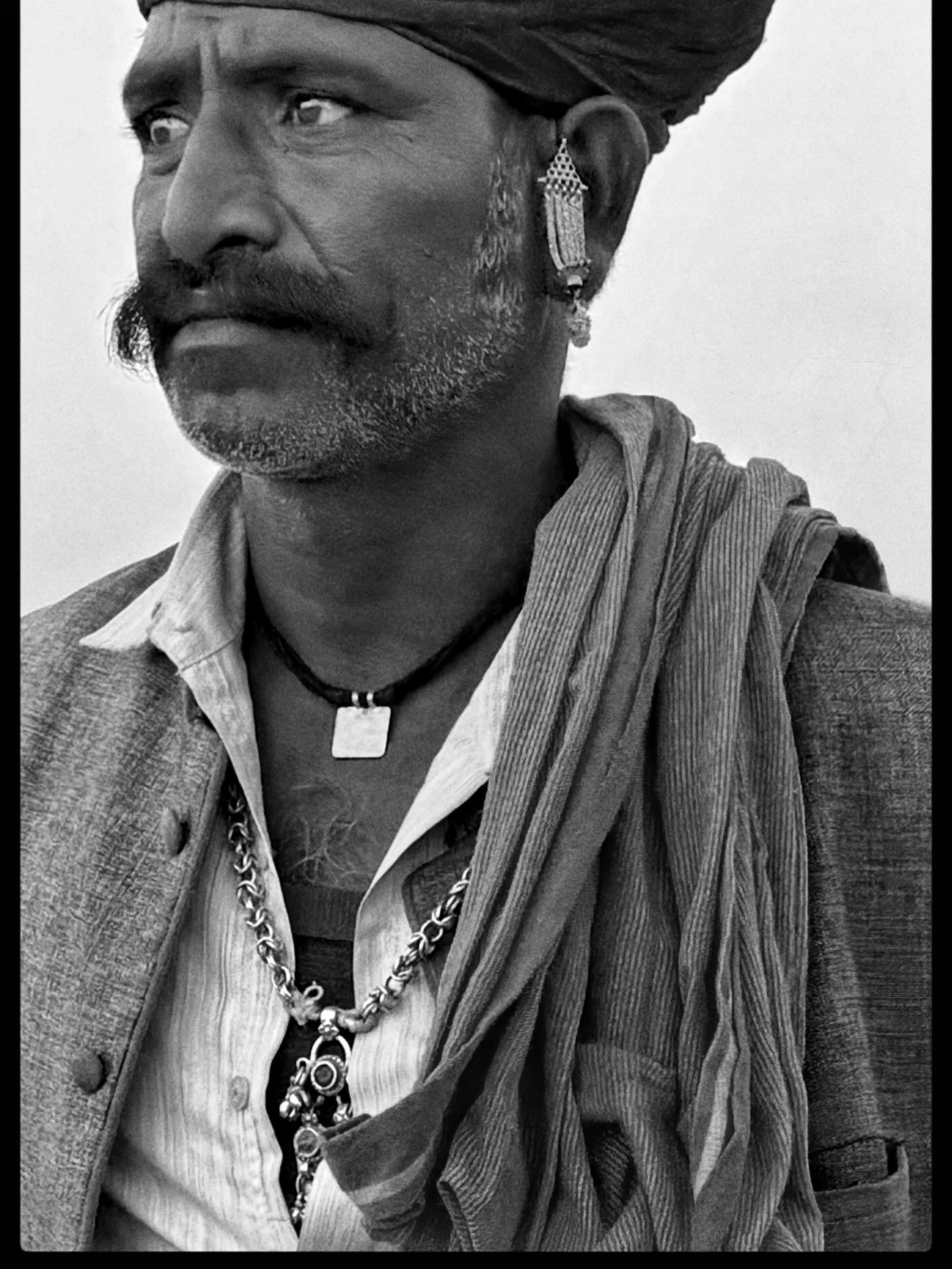 AsparagusOld5224 Quitzon