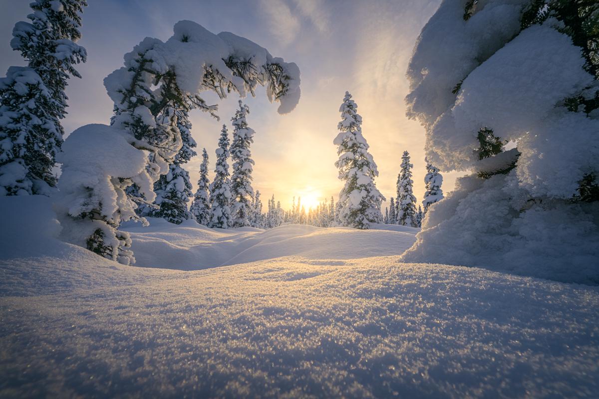 1782931286nickolaswarnerphoto1473