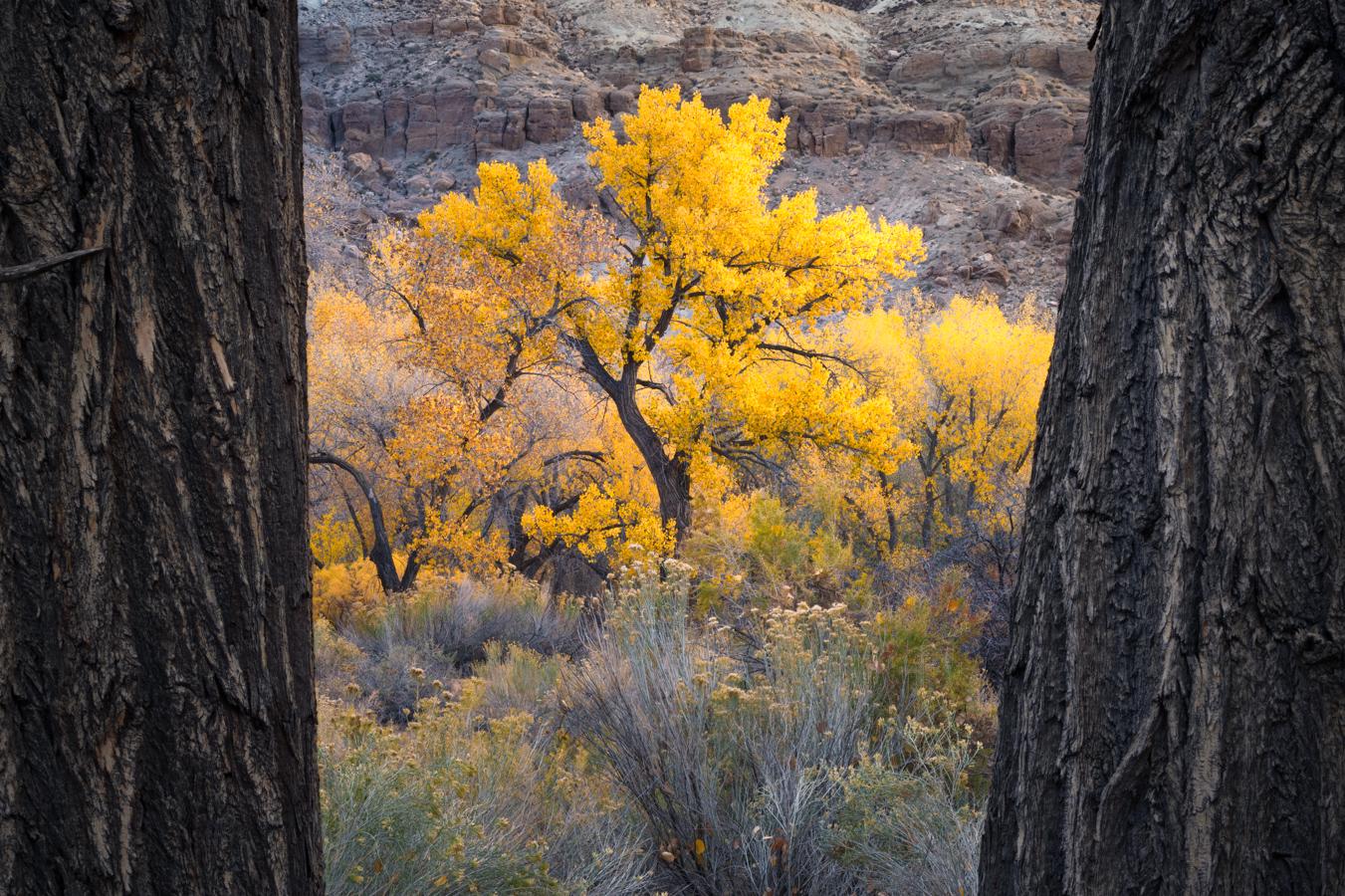 1783719847nickolaswarnerphoto583