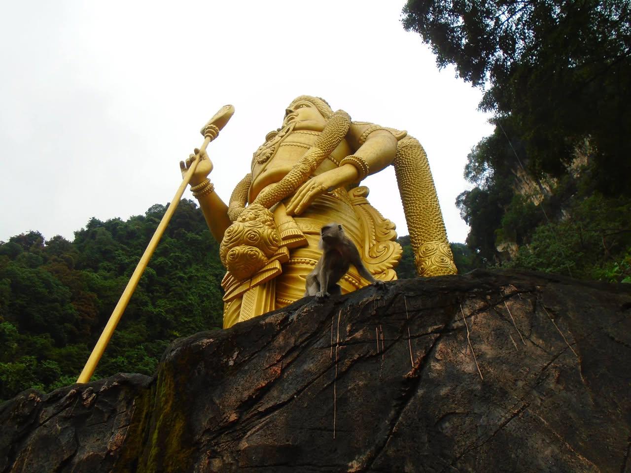 1783908046ParchaLama11