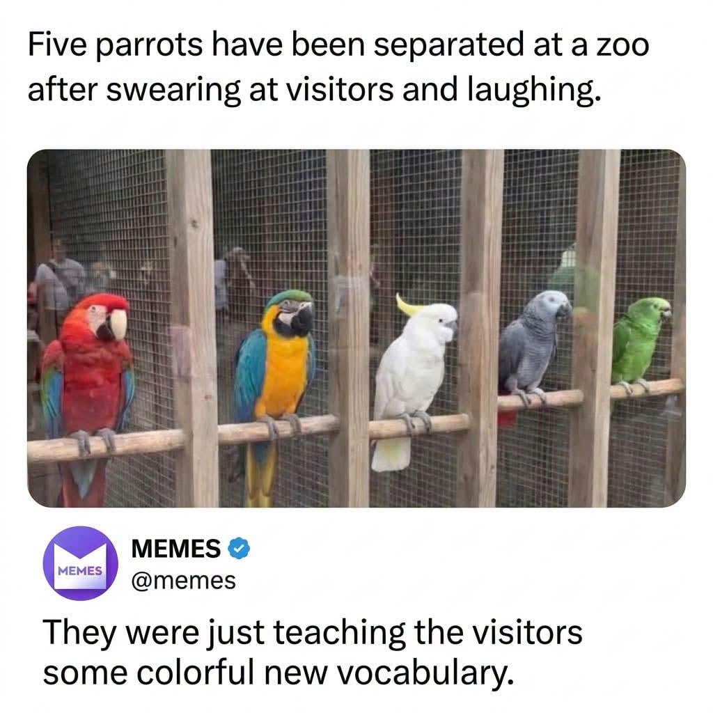 1783994156Dev141233