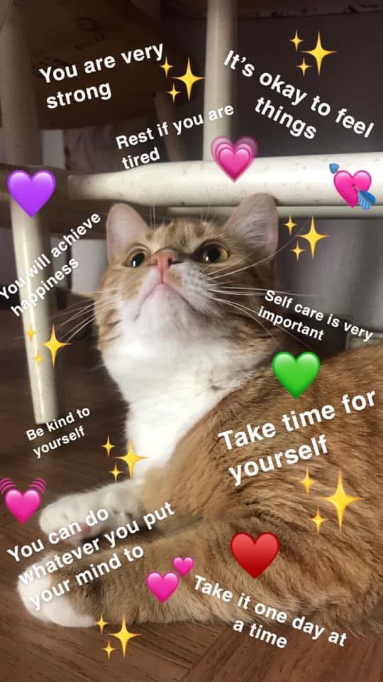 1784253912_InLightInMe20