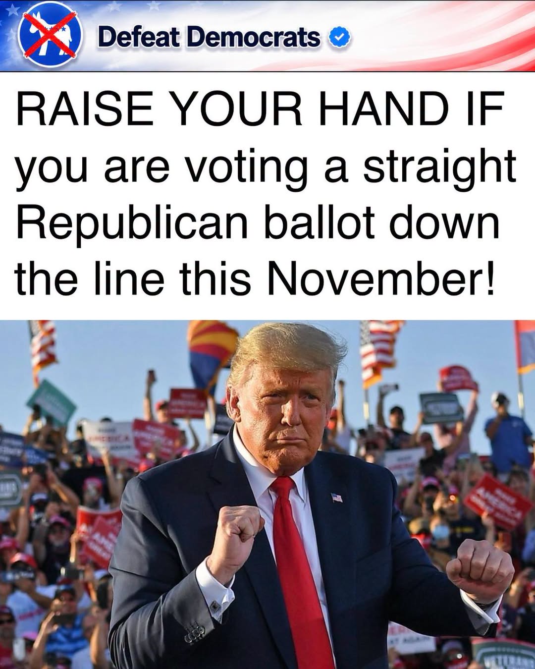 DefeatTheDemocrats1783985383