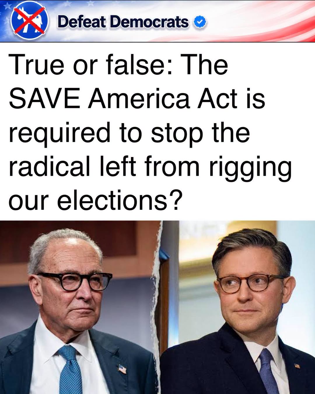 DefeatTheDemocrats1784033388