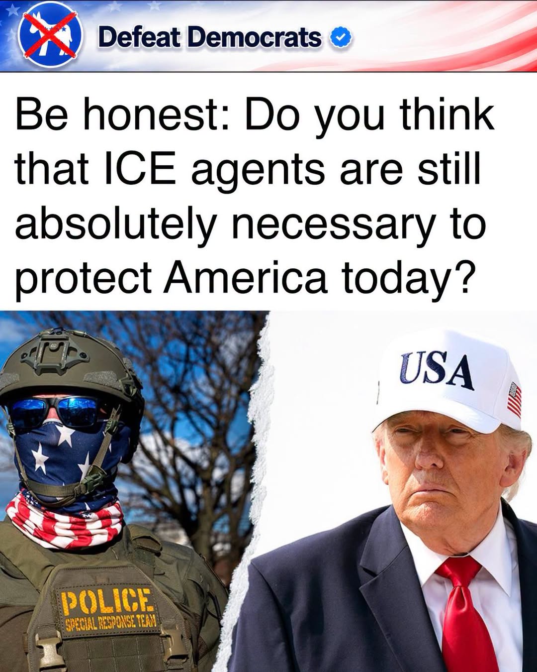 DefeatTheDemocrats1784195258