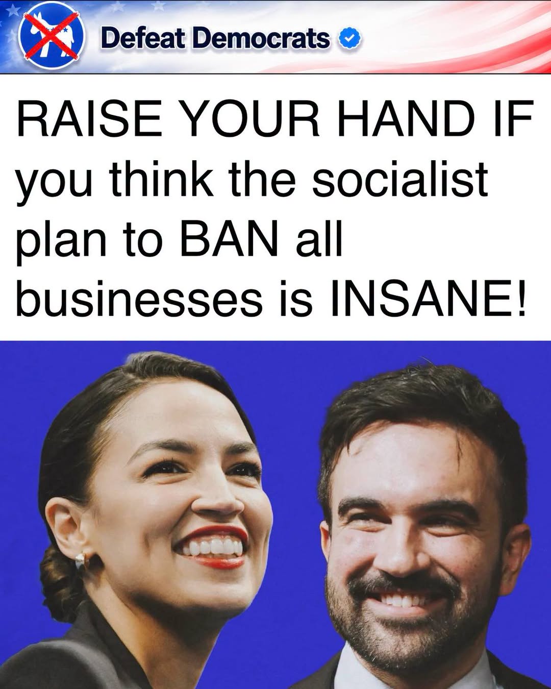 DefeatTheDemocrats1784280836