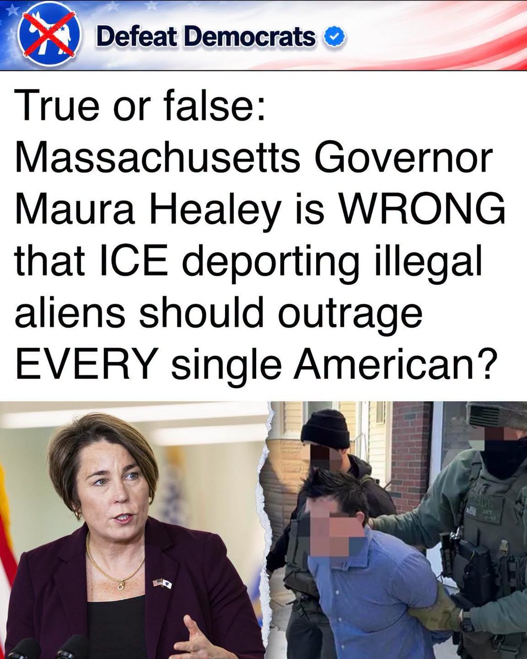 DefeatTheDemocrats1784392474
