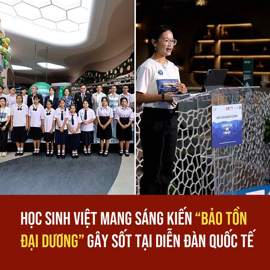 VietGiaiTriNews1784056859
