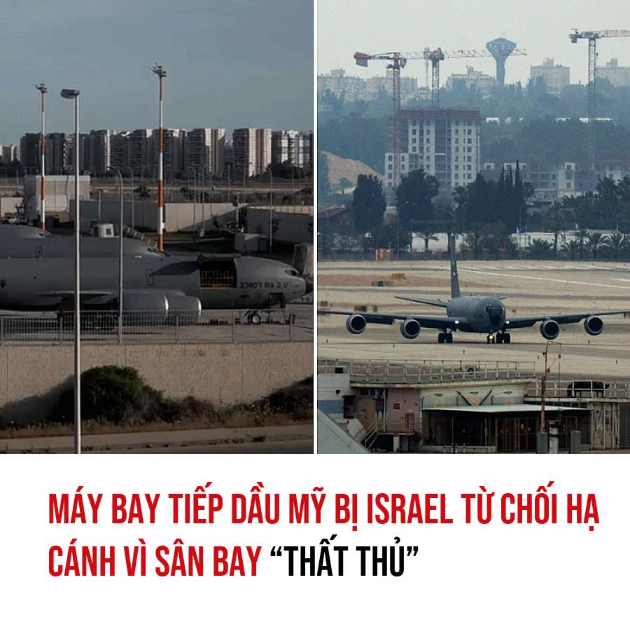 VietGiaiTriNews1784066514