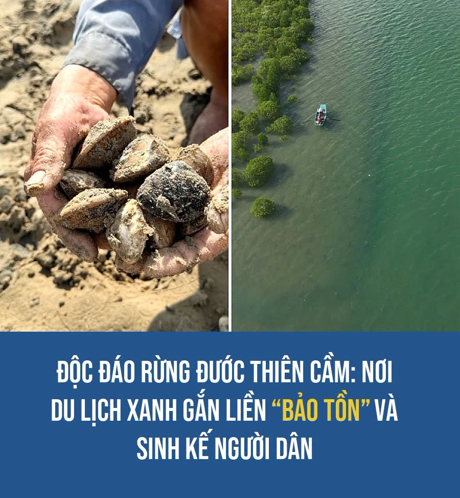 VietGiaiTriNews1784068884