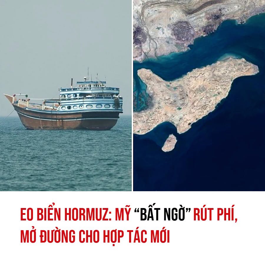 VietGiaiTriNews1784071854