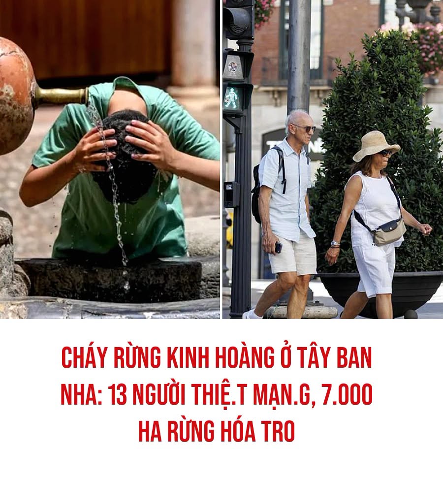 VietGiaiTriNews1784119349