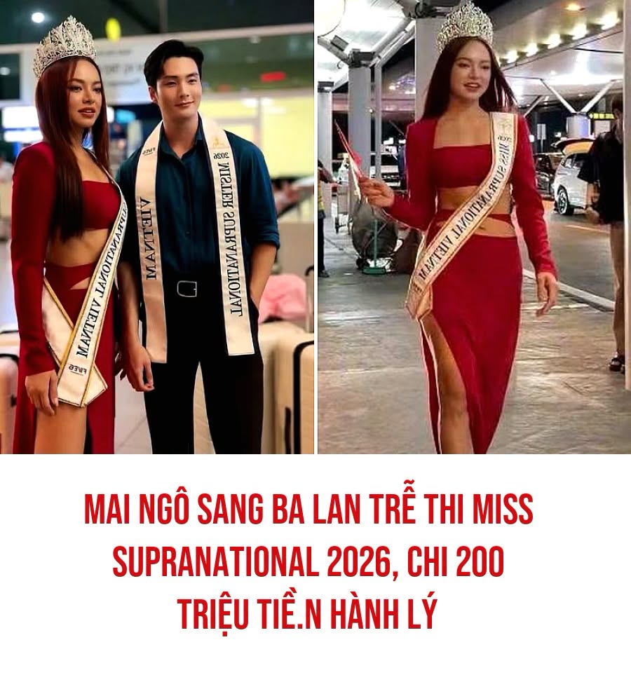 VietGiaiTriNews1784127821