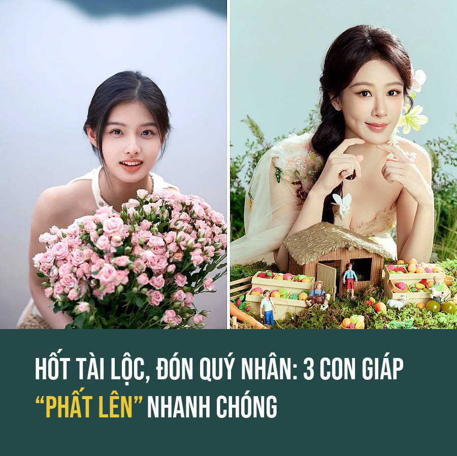 VietGiaiTriNews1784145944