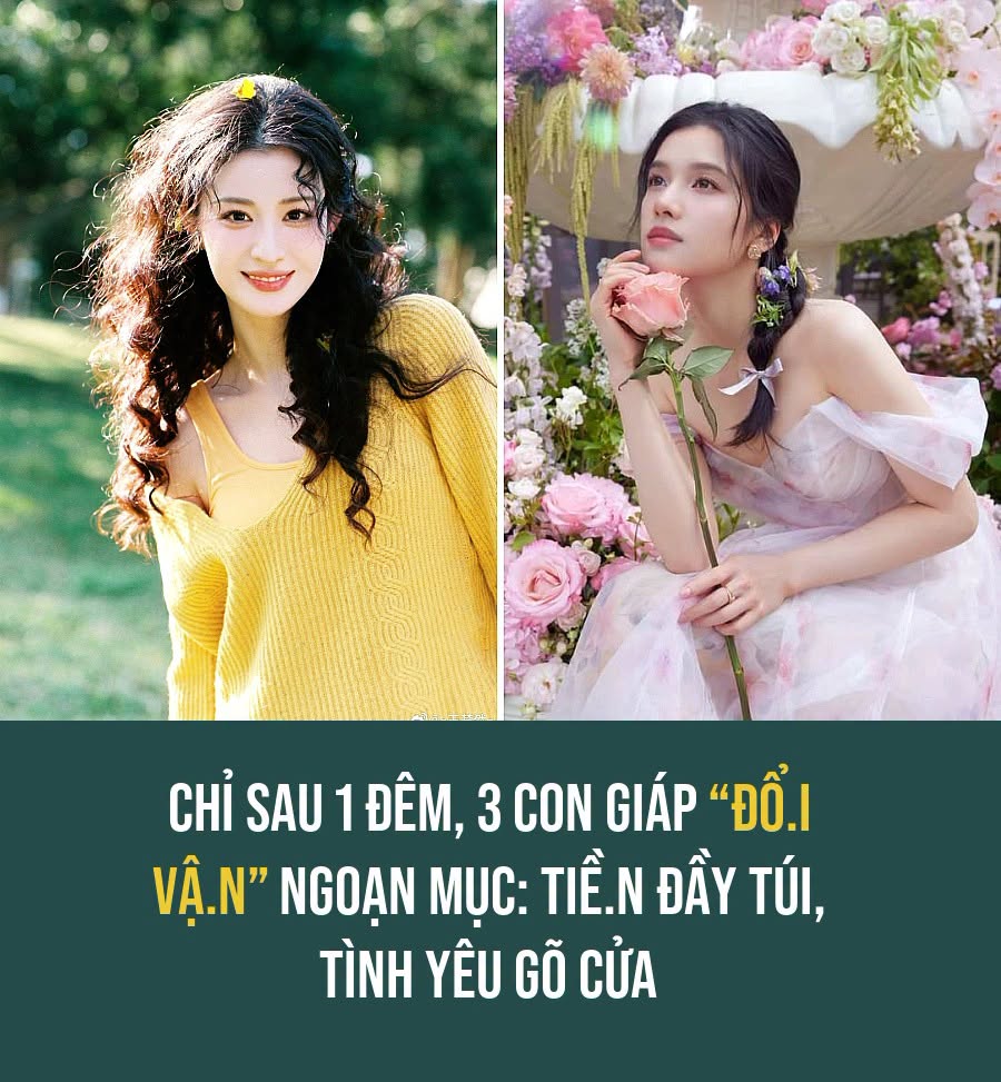 VietGiaiTriNews1784152003