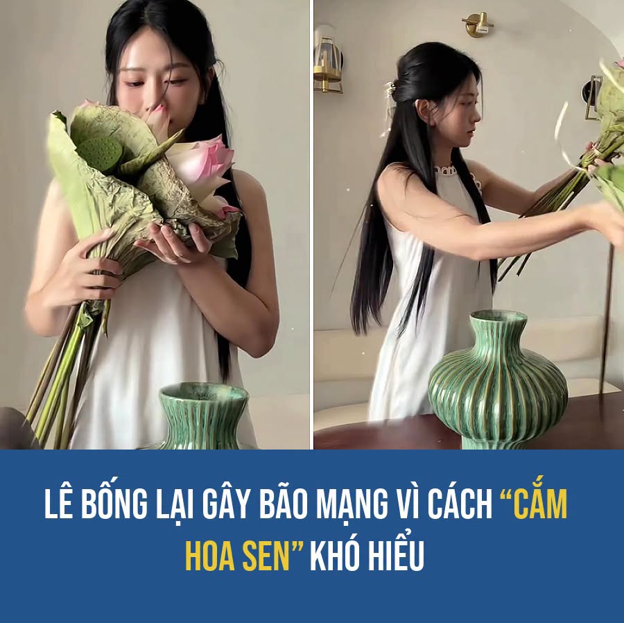 VietGiaiTriNews1784157957