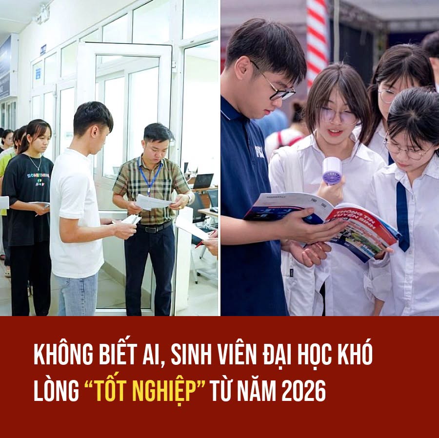 VietGiaiTriNews1784166020