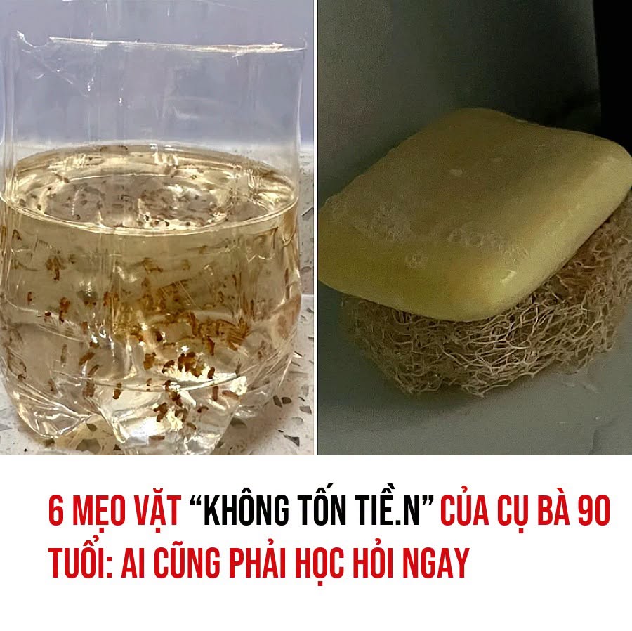 VietGiaiTriNews1784169030