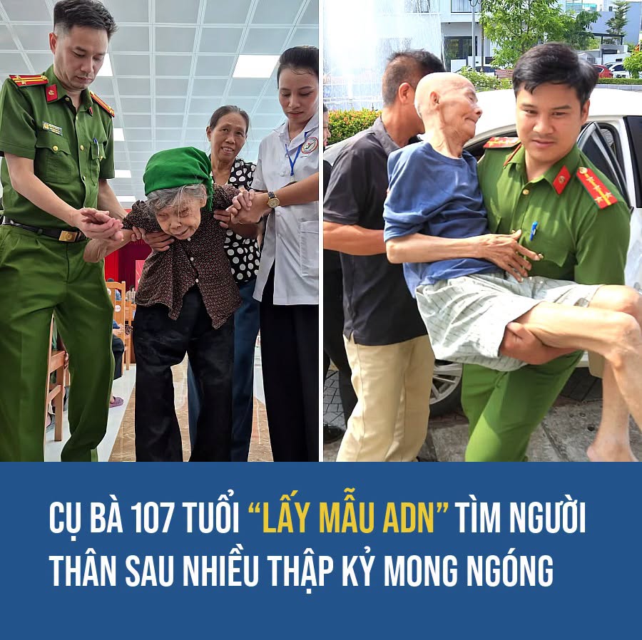 VietGiaiTriNews1784202687