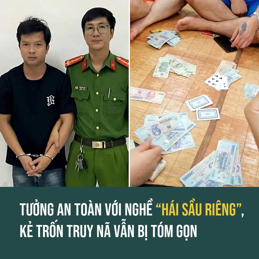 VietGiaiTriNews1784253035