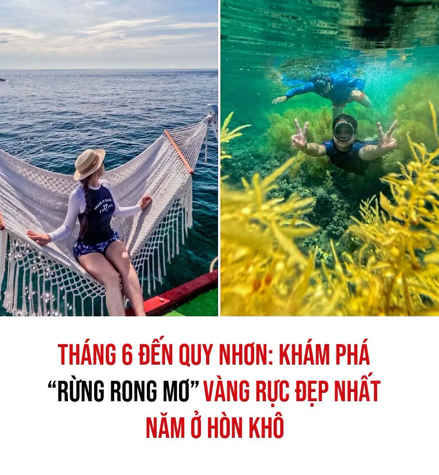 VietGiaiTriNews1784277033