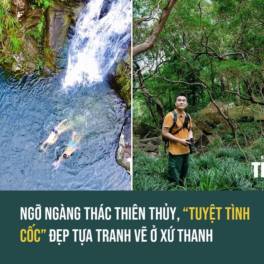 VietGiaiTriNews1784339256