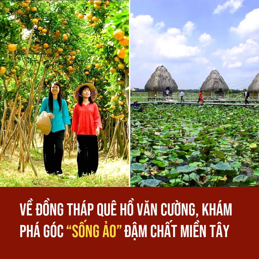 VietGiaiTriNews1784500949
