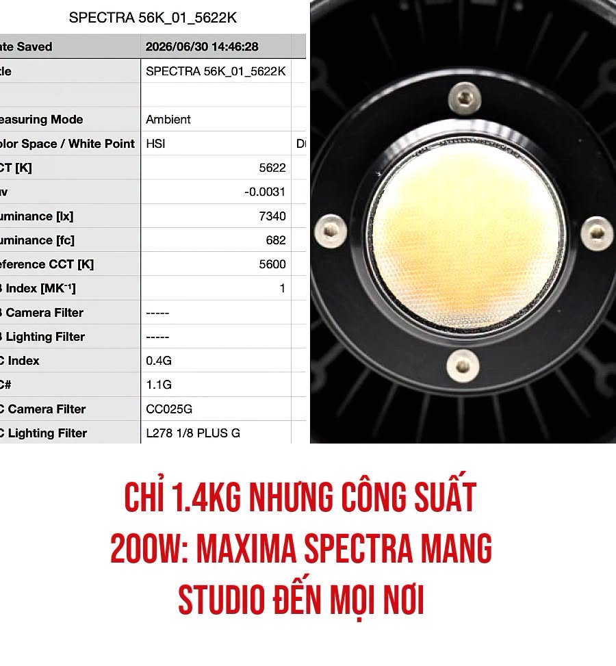 VietGiaiTriNews1784545266