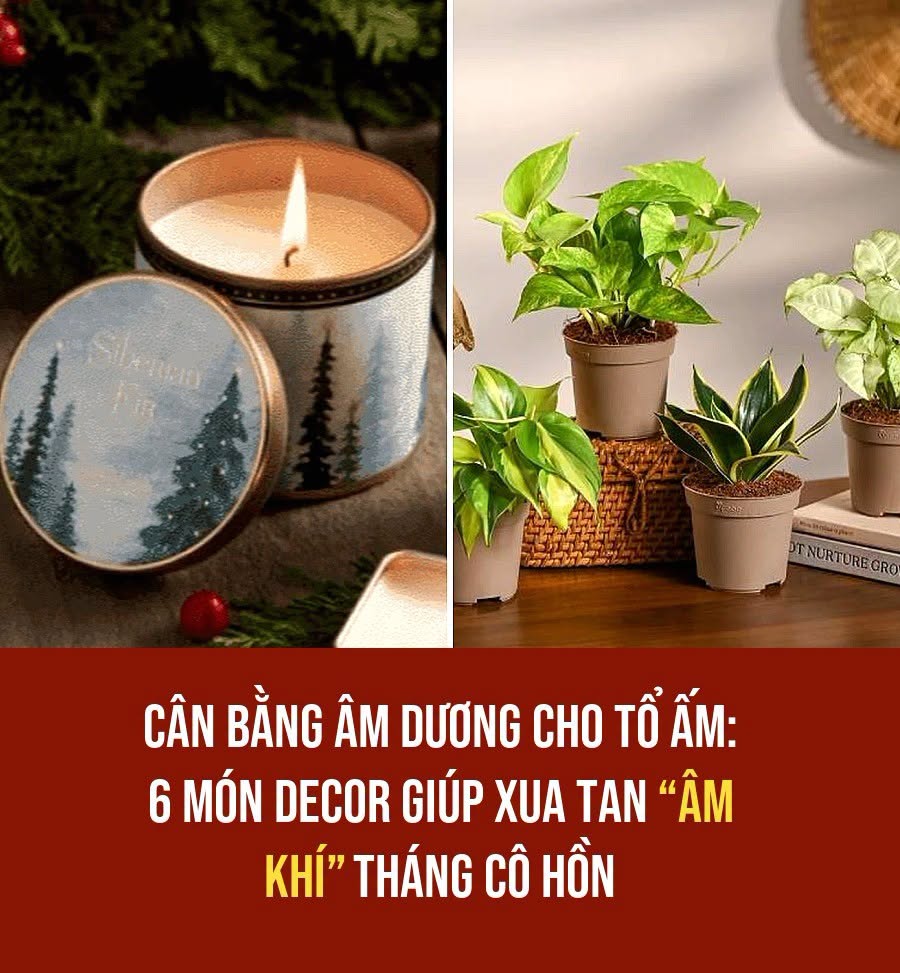 VietGiaiTriNews1784547674