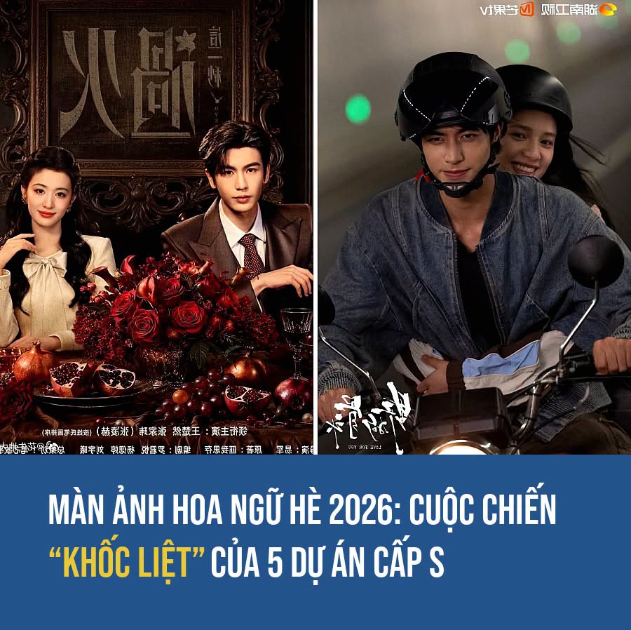 VietGiaiTriNews1784583618