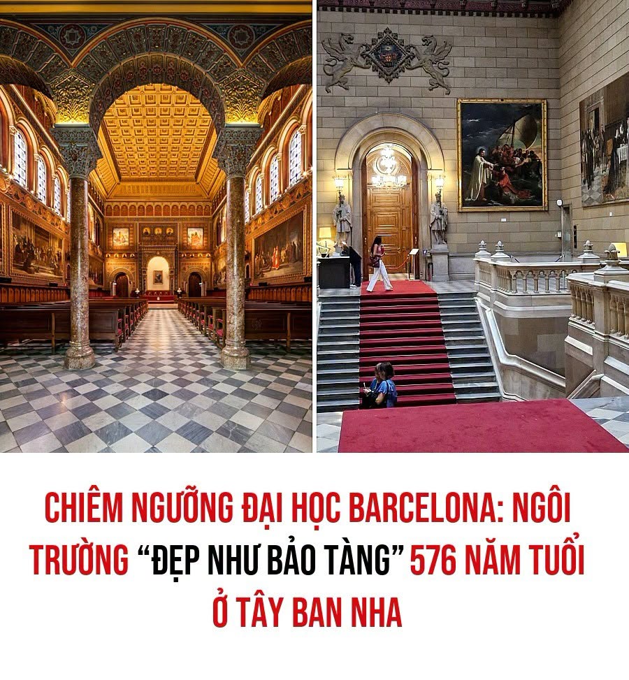 VietGiaiTriNews1784603507