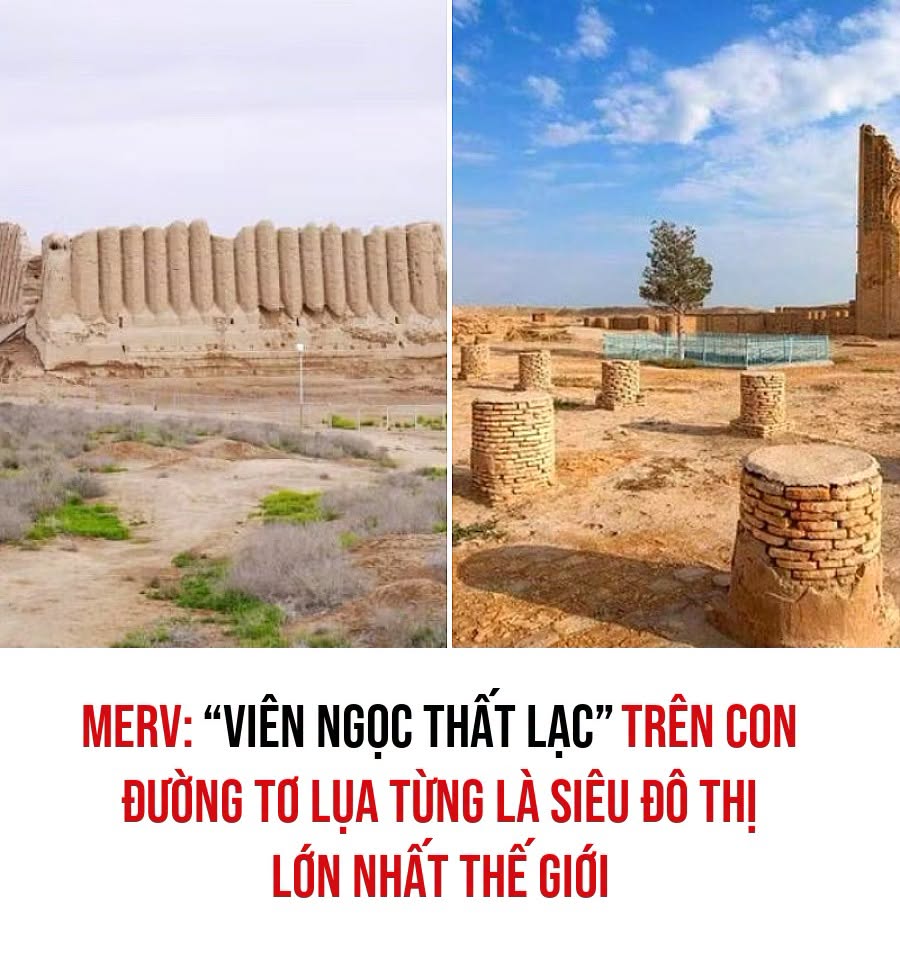 VietGiaiTriNews1784608364