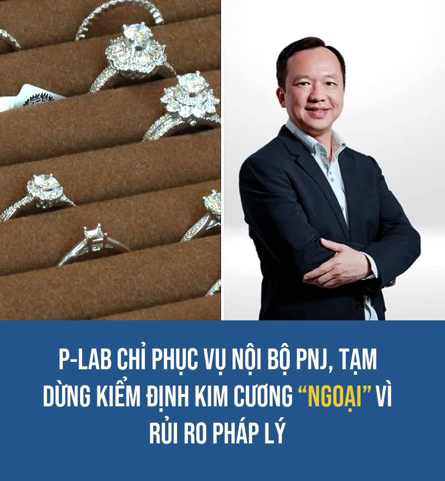 VietGiaiTriNews1784623906