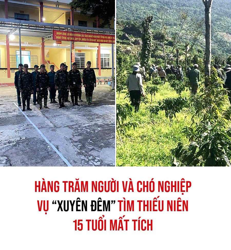 VietGiaiTriNews1784637945