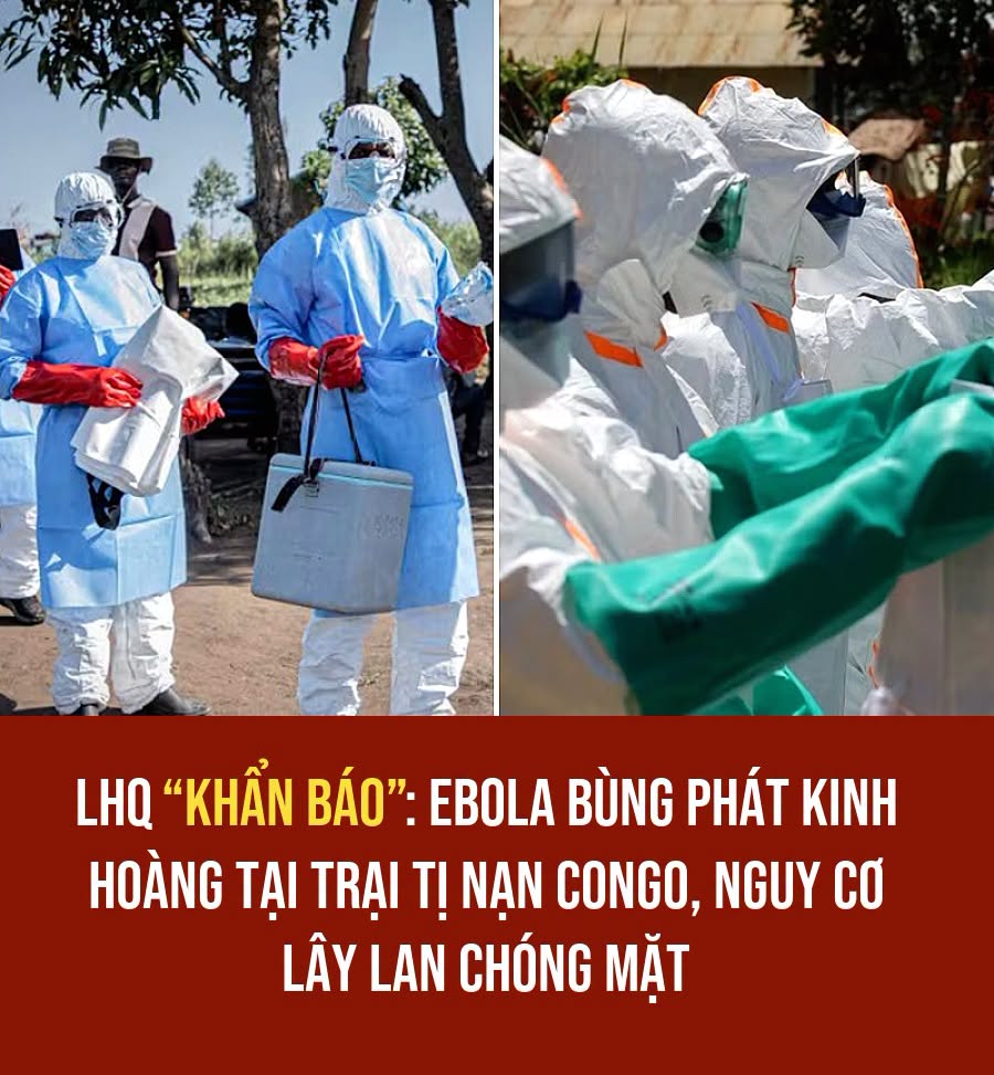 VietGiaiTriNews1784643769
