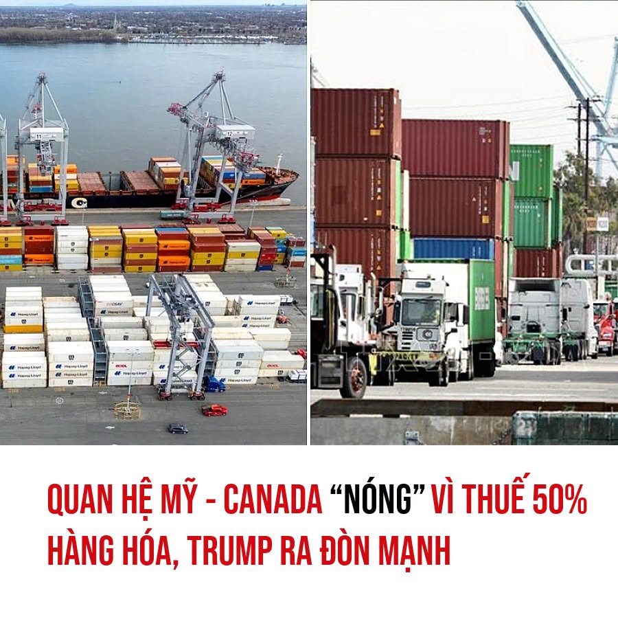 VietGiaiTriNews1784649036