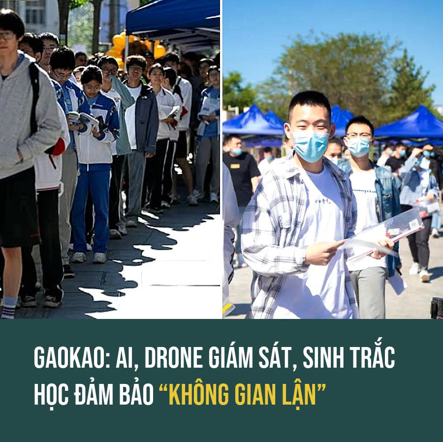 VietGiaiTriNews1784673951