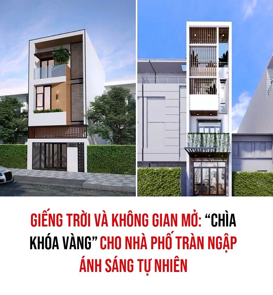 VietGiaiTriNews1784697765
