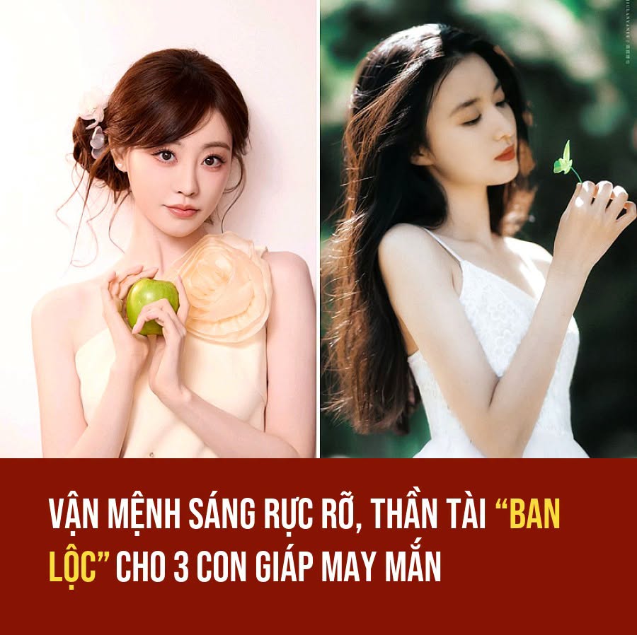 VietGiaiTriNews1784732250